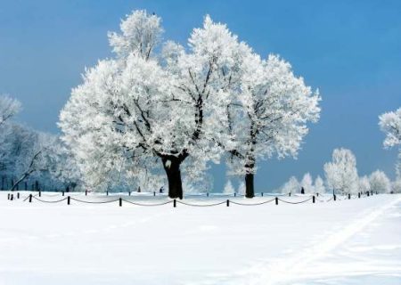 ادامه سرما و یخبندان در زنجان