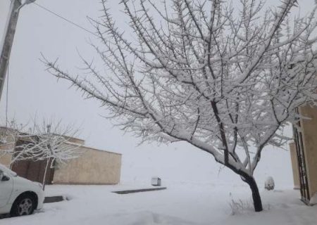 ادامه بارش‌ها در زنجان تا اواخر وقت امروز