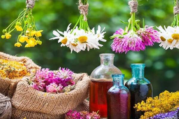 کشت گیاهان دارویی زمینه‌ساز ایجاد فرصت‌های شغلی