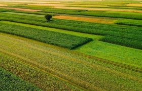 اجرای طرح جهش تولید در 450 هزار هکتار اراضی زنجان