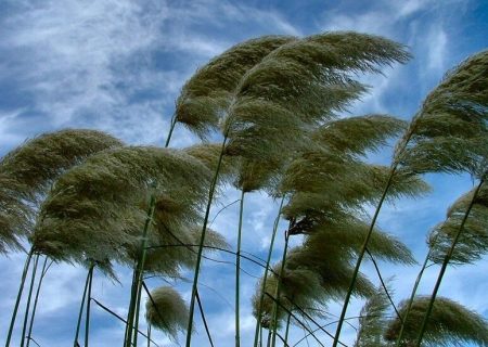 وزش شدید باد استان زنجان را فرا می گیرد