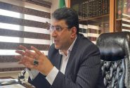 70 درصد اراضی کشاورزی در زنجان سنددار شد