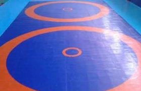 کسب مقام دوم مسابقات کشتی پهلوانی نوجوانان توسط ورزشکار زنجانی