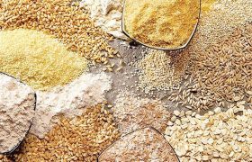 ظرفیت ذخیره‌سازی نهاده‌های دامی زنجان به ۳۶ هزار تن افزایش می‌یابد