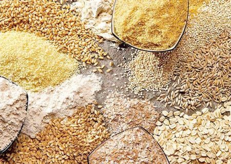 ظرفیت ذخیره‌سازی نهاده‌های دامی زنجان به ۳۶ هزار تن افزایش می‌یابد