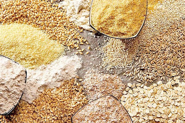 ظرفیت ذخیره‌سازی نهاده‌های دامی زنجان به ۳۶ هزار تن افزایش می‌یابد