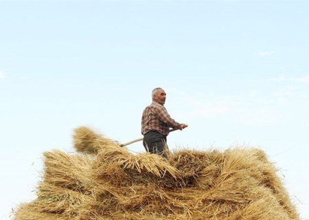 جمع‌آوری 81 میلیارد تومان زکات در زنجان