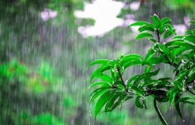 افزایش ابر و احتمال رگبار پراکنده در زنجان از دوشنبه