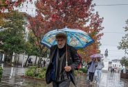 بارشهای رگباری در زنجان تا دوشنبه ادامه دارد