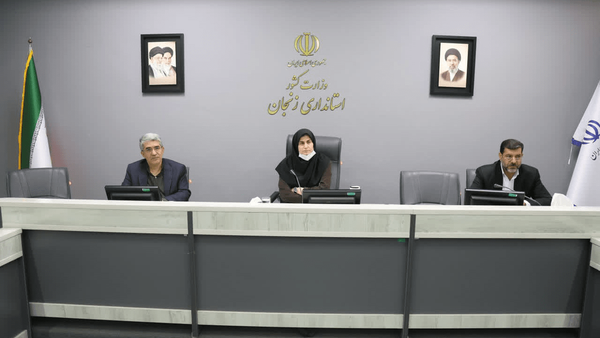 تأکید معاون استاندار زنجان بر تشدید نظارت بر توزیع آرد