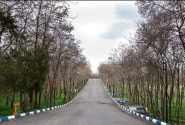 ضرورت احداث پارک ۱۰ هکتاری در کوی زیتون زنجان
